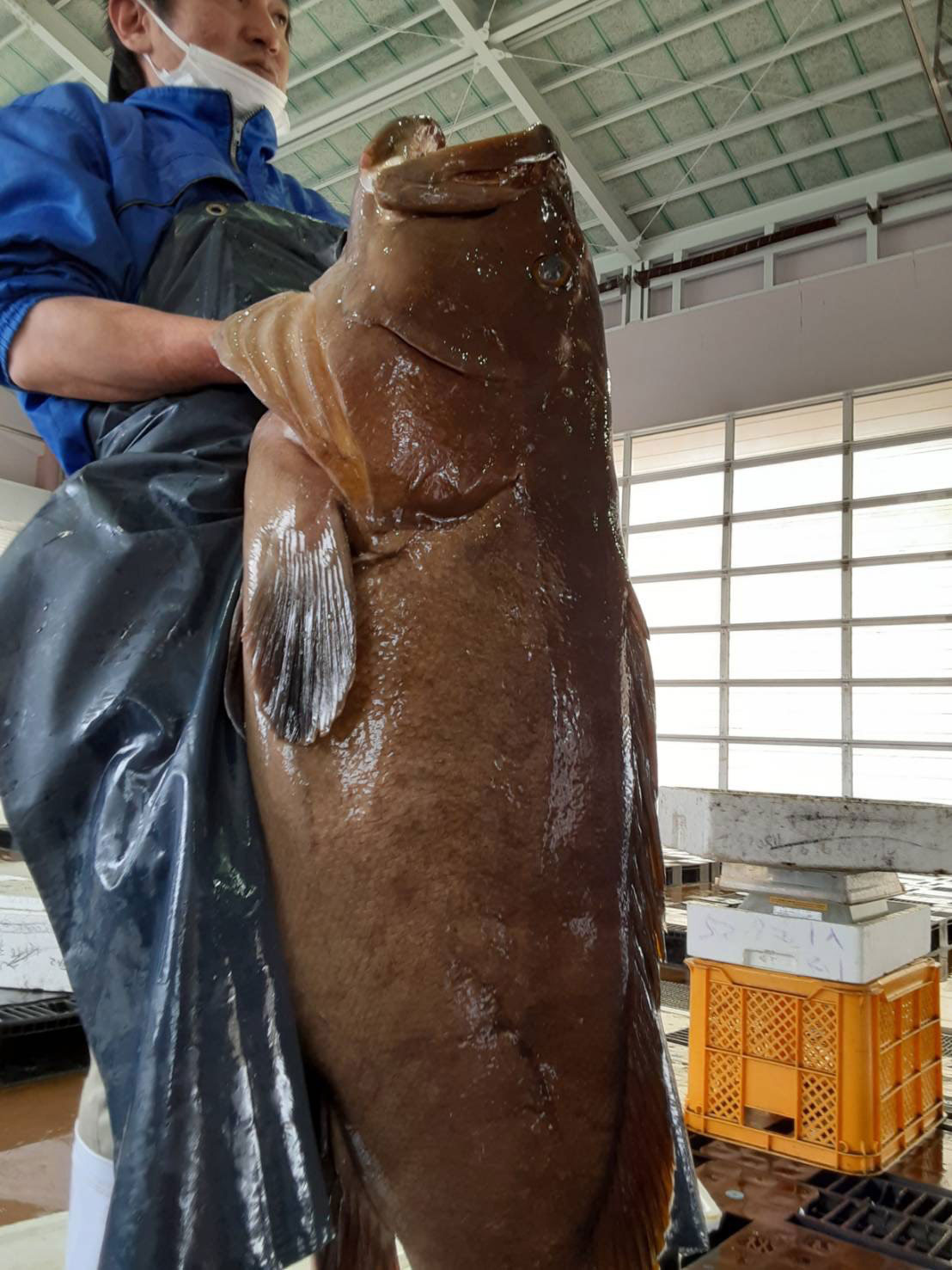 ソムリエ通信イメージ