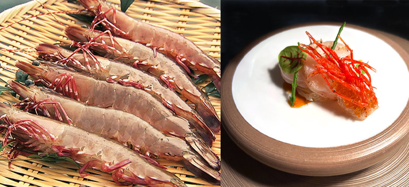 ソムリエ通信イメージ