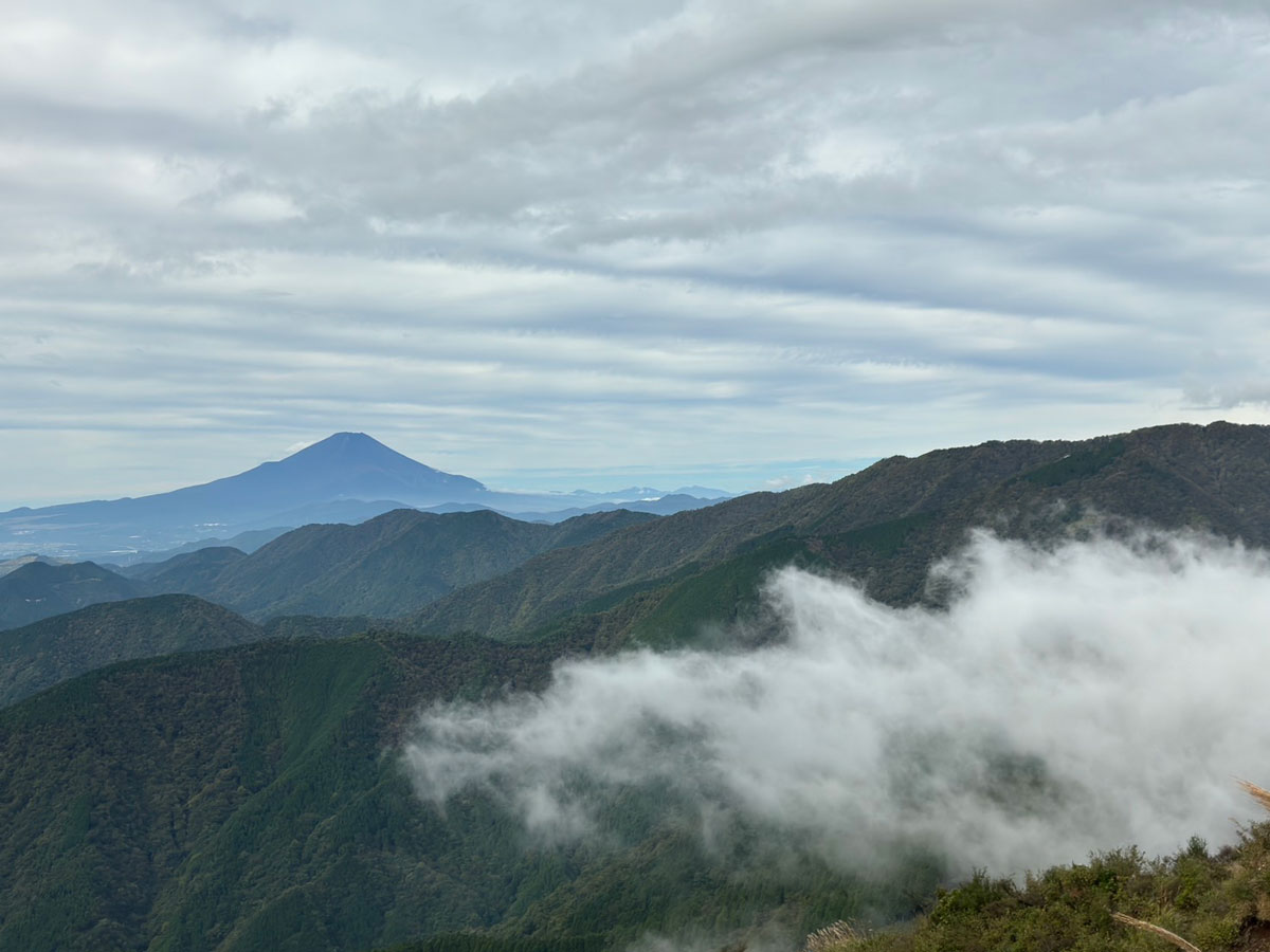 ソムリエ通信イメージ
