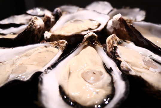 ソムリエ通信イメージ