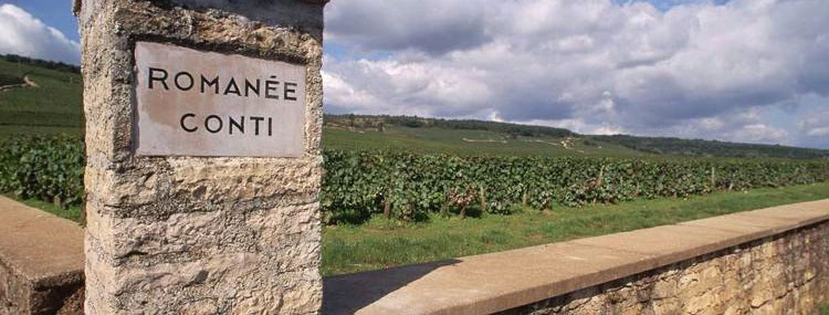 ソムリエ通信画像