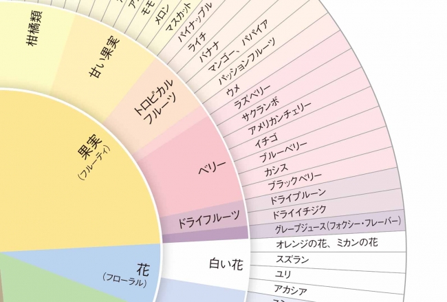 ソムリエ通信画像